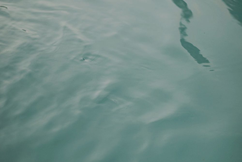 Ondas concéntricas sobre una superficie de agua calma
